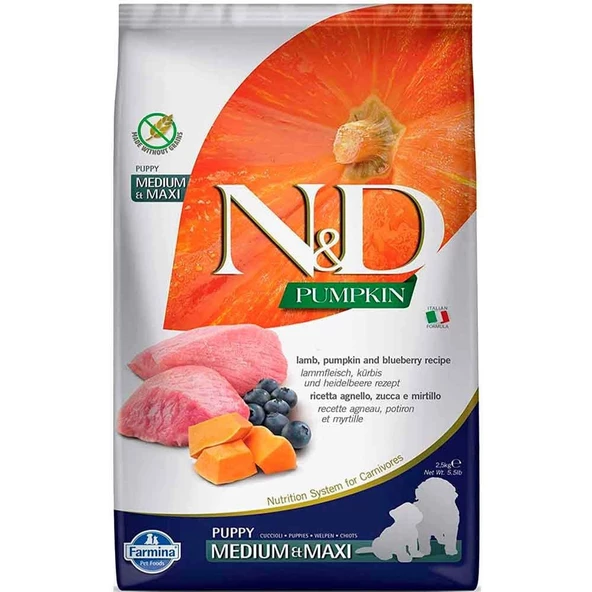 غذای توله سگ بره و زغال اخته عسل...