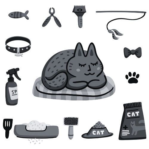 accessories-cats1