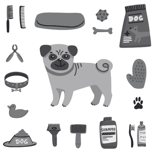 accessories-dog1