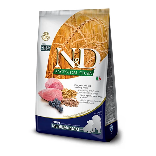 غذای توله سگ با نژاد متوسط و بزرگ...