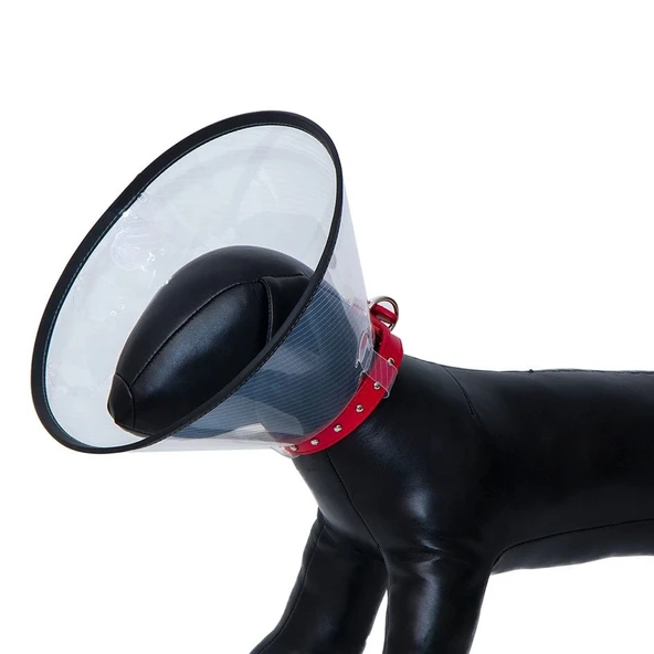 یقه سگ الیزابت 20 سانتی متر