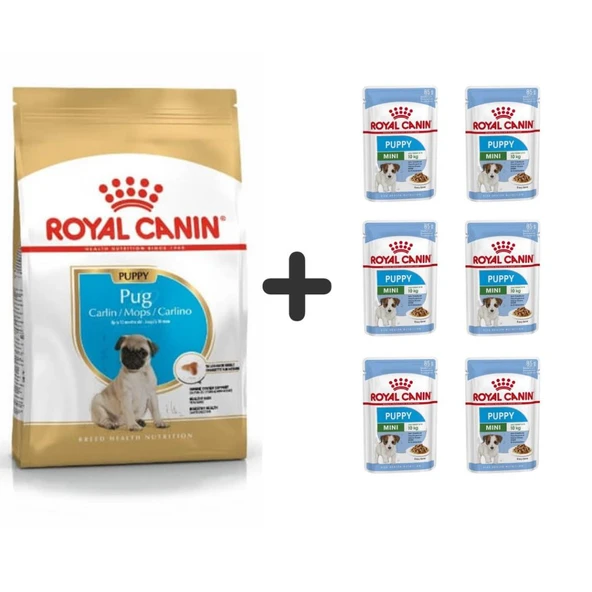 غذای توله سگ رویال کانین پاگ جونیور 1.5...